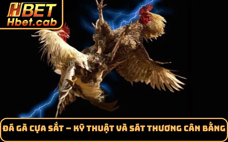 Đá gà cựa sắt – kỹ thuật và sát thương cân bằng