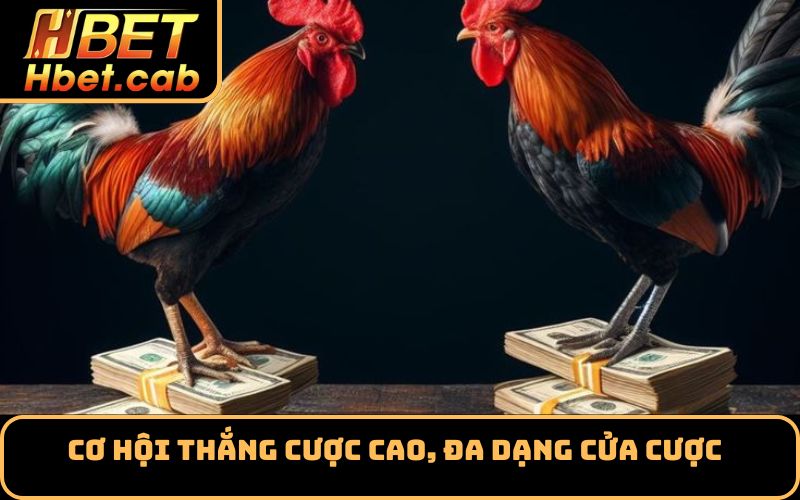 Cơ hội thắng cược cao, đa dạng cửa cược