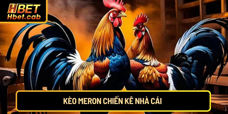 Kèo Meron chiến kê nhà cái 
