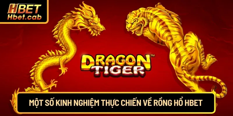Một số kinh nghiệm thực chiến về rồng hổ Hbet